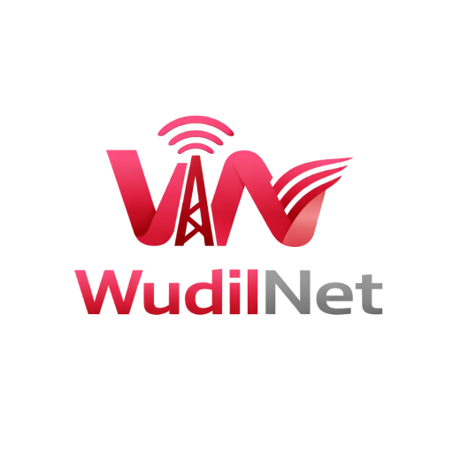 Wudil Net Logo